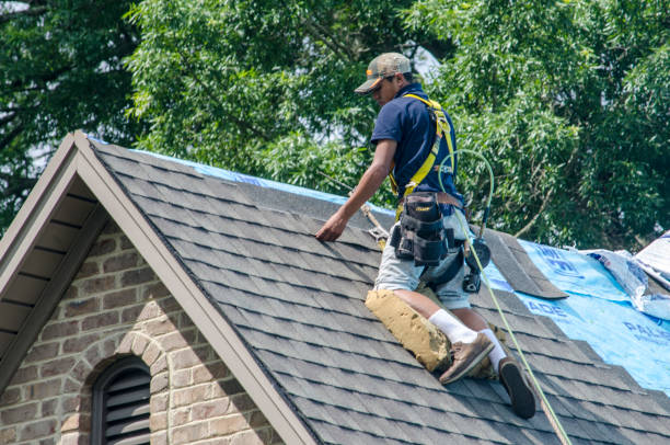 Best Roof Gutter Cleaning  in Midland, WA